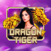 WK777 VIP Dragon Tiger live casino game